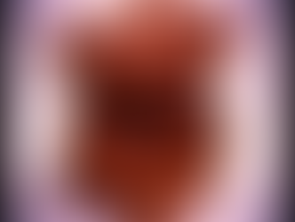 Pumpkin bars with hazelnut topping