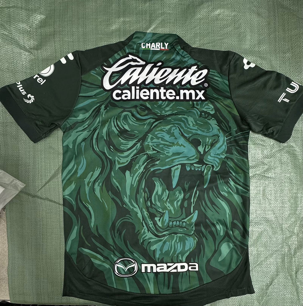 Camiseta León 2026