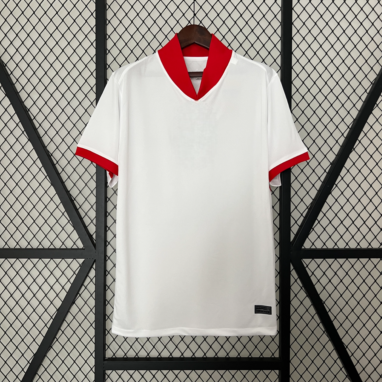 Camiseta  Polonia 24