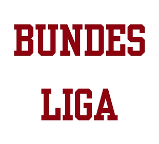 bundesliga.png