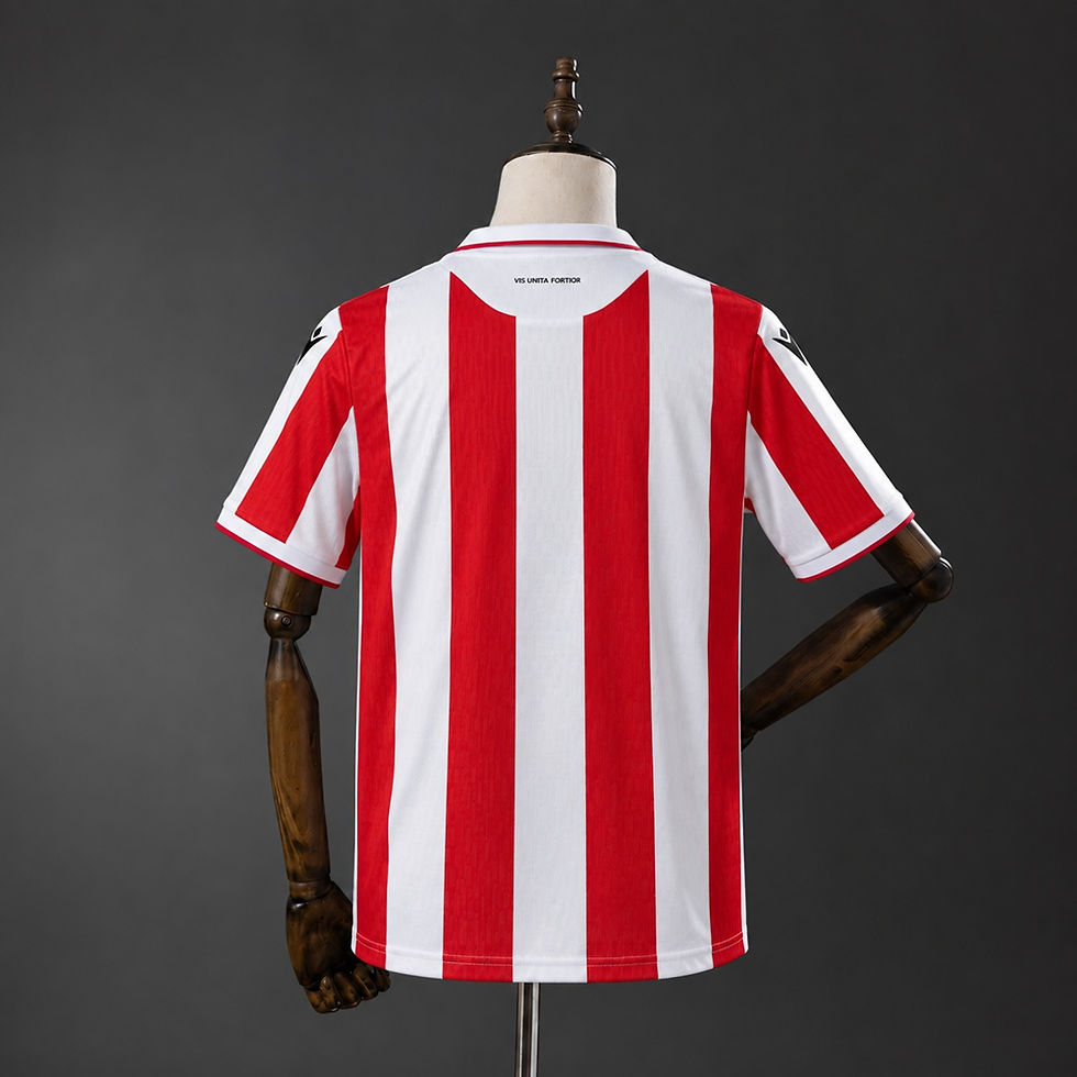 Camiseta Stoke City 2026