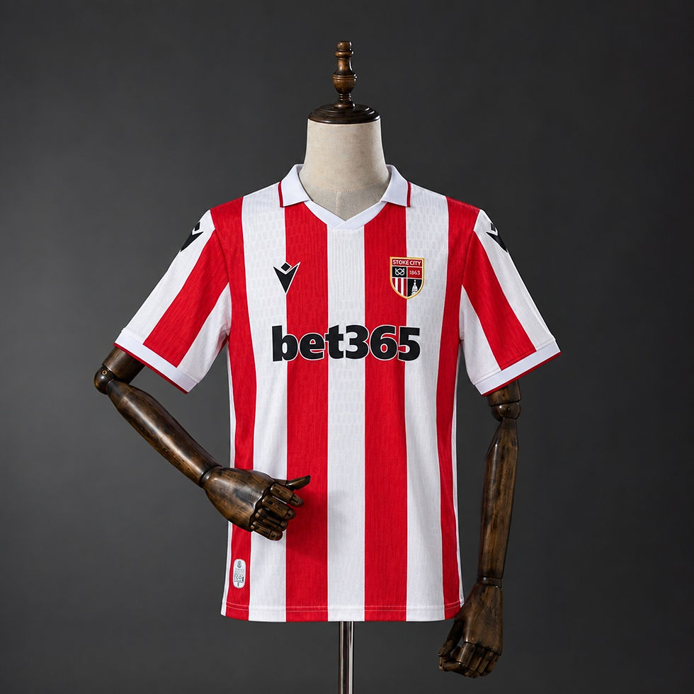 Camiseta Stoke City 2026
