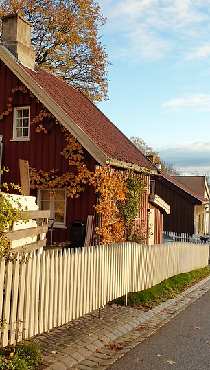 Capture d’écran 2021-10-24 à 19.24.39.png