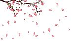 Sakura.gif