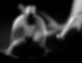 Screenshot 2021-06-07 at 16.38.39.png