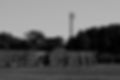 DSC02162 12.47.00 copy.jpg