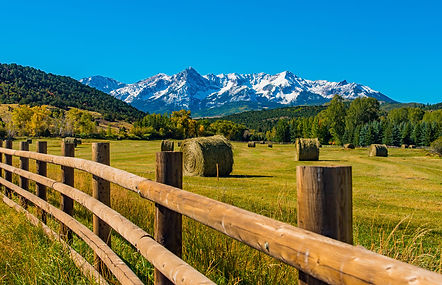 AdobeStock_177537100 (1) (1).jpeg