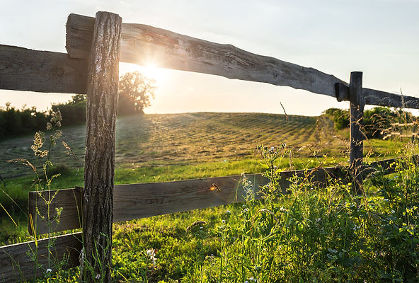 AdobeStock_65971040 (1) (1).jpeg
