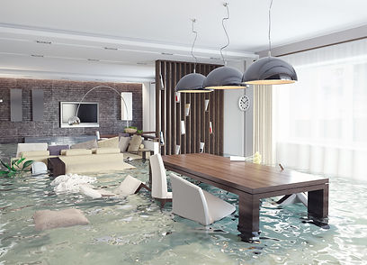 All Protector Agency, Flood insurance brick nj