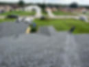 IMG_6591(1).jpeg
