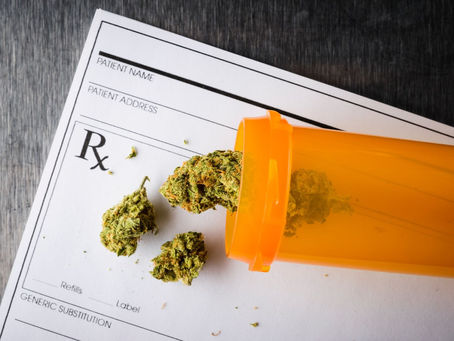 The Untapped Potential of Male Marijuana Plants: Exploring Their Many Uses