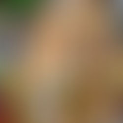 AUTUMN QUINOA WITH ROASTED ROOT VEGGIES