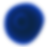 shape 5 copy.png