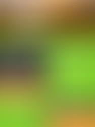 Transport de personnes du Haut-St-François recrute!