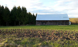 Ferme Adam et Elle.jpg
