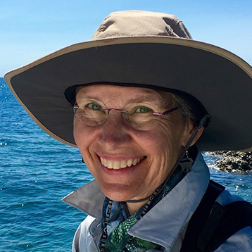 It Could Happen to You: Dotty Doherty's "My Violin" content media