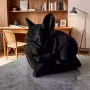 Thumbnail: French Bulldog on Cushion