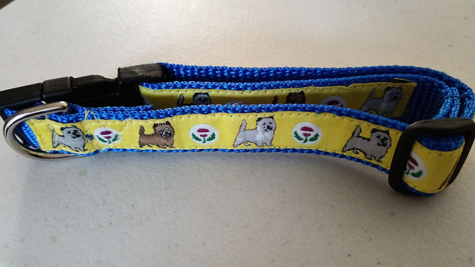 Thumbnail: Cairn Terrier Collar M