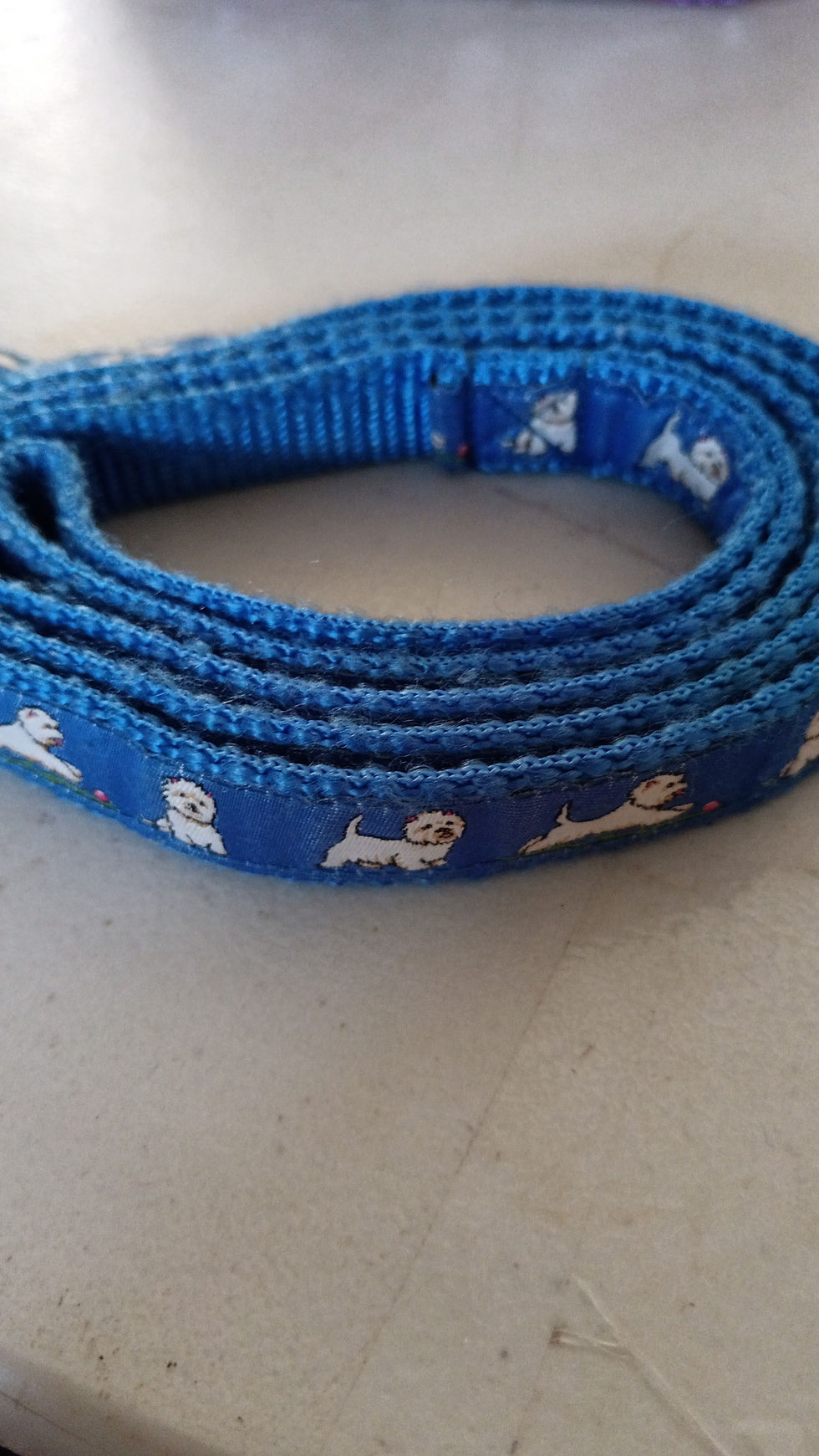 Thumbnail: West Highland White Terrier ( Westie) Leads Only