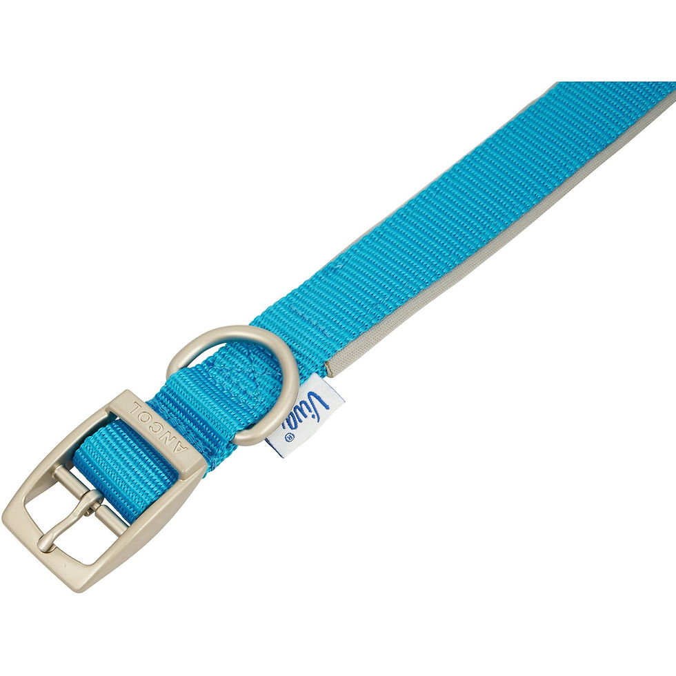 Thumbnail: Viva Lite Blue Padded Dog Collar