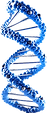 about-img06.png