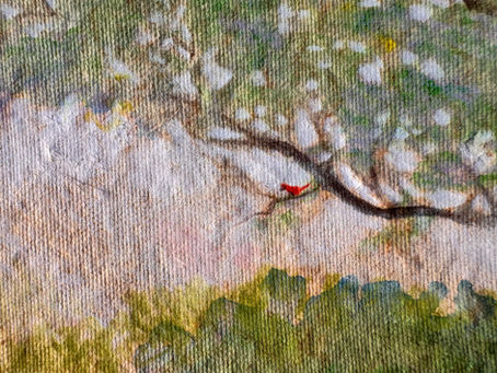 Exploring Textures in My Mixed Media Painting