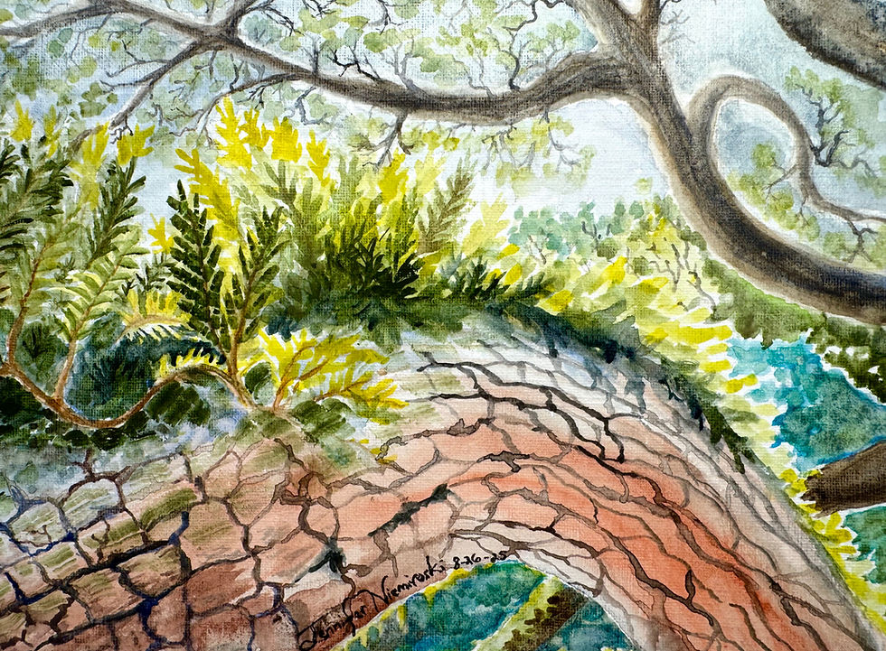 Light My Way - ferns on Tree_edited.jpg