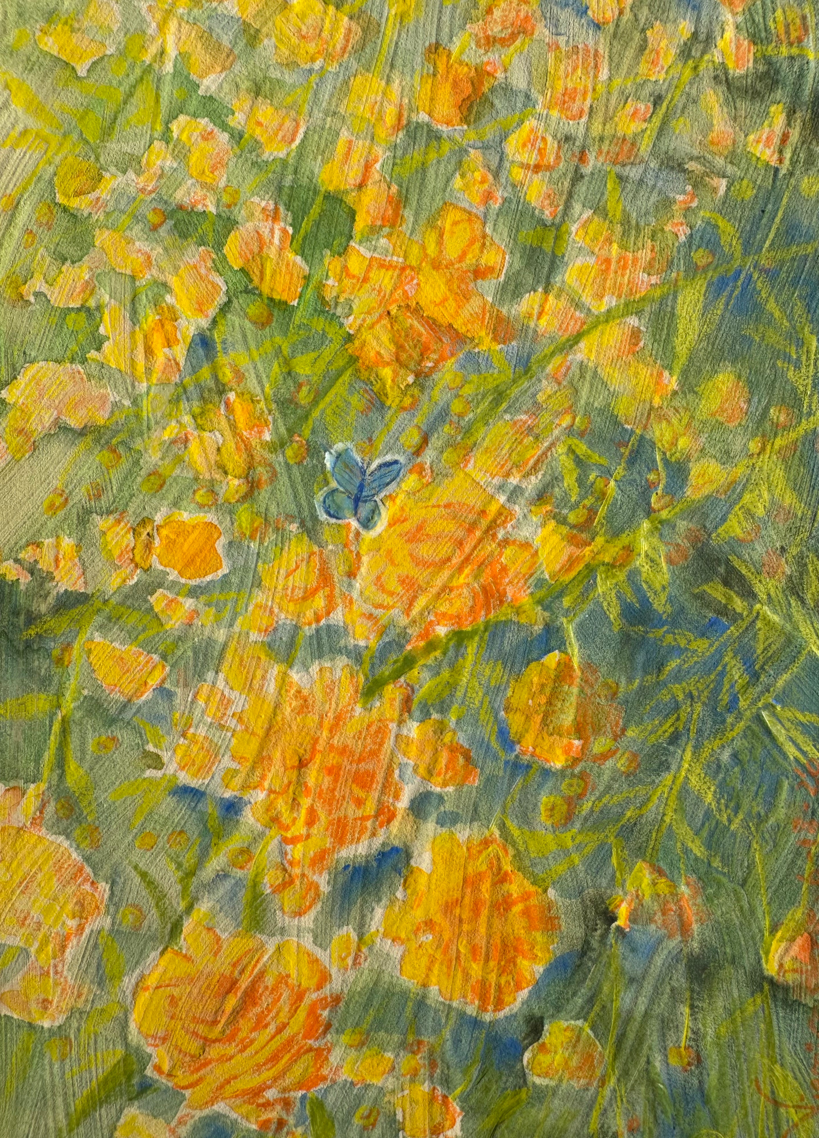 Flowers and Sunshine After The Rain