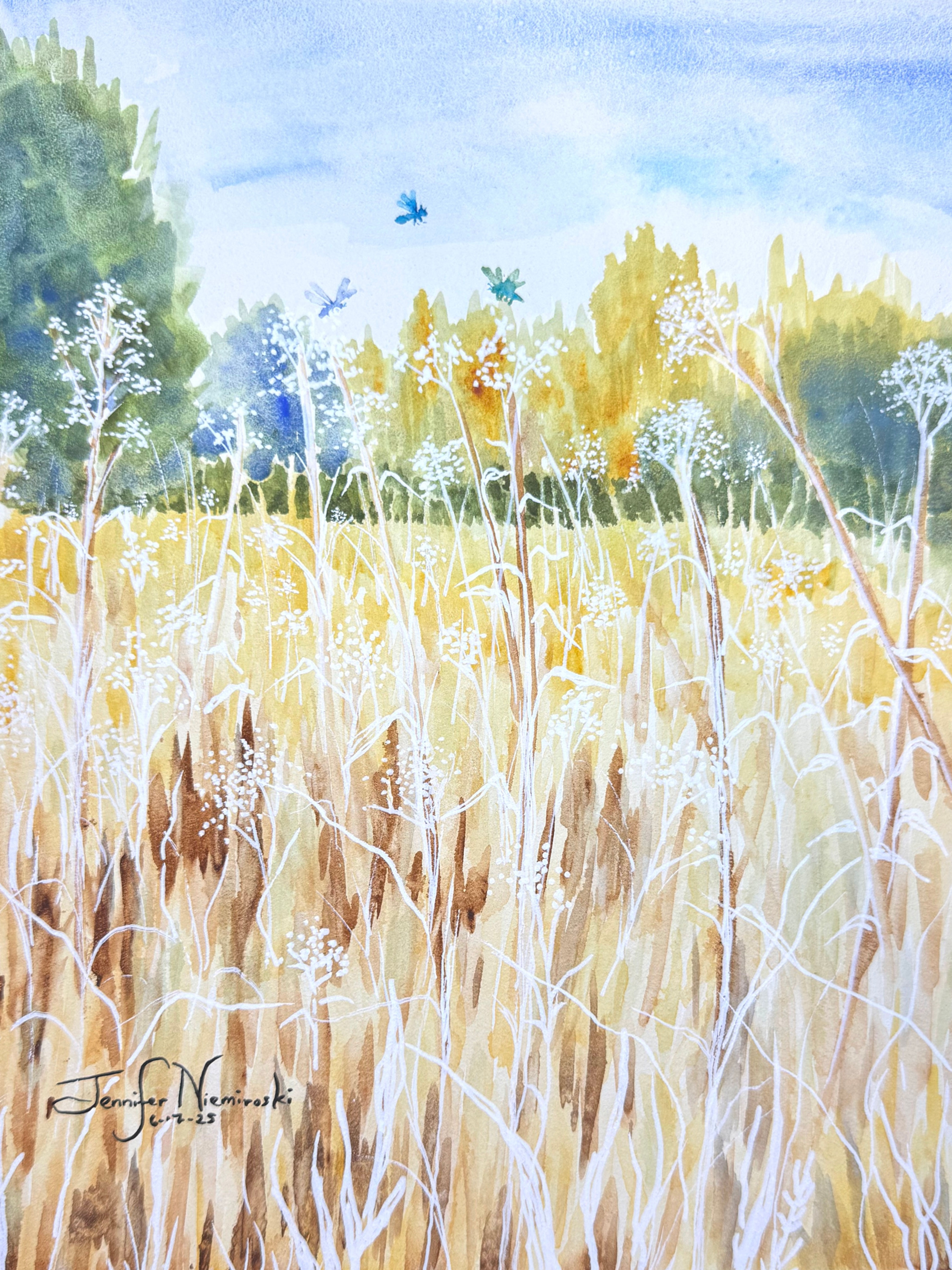 Playing in the Meadow