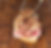 Meat on Cuban Sandwich