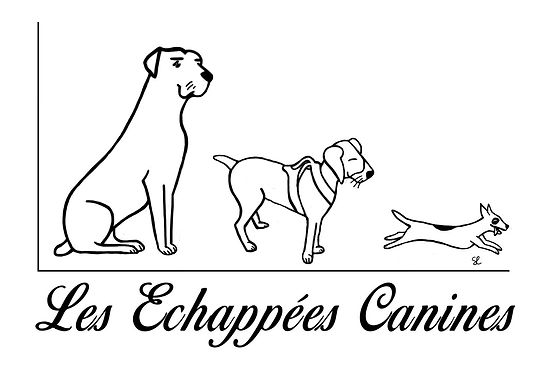 logo.jpeg
