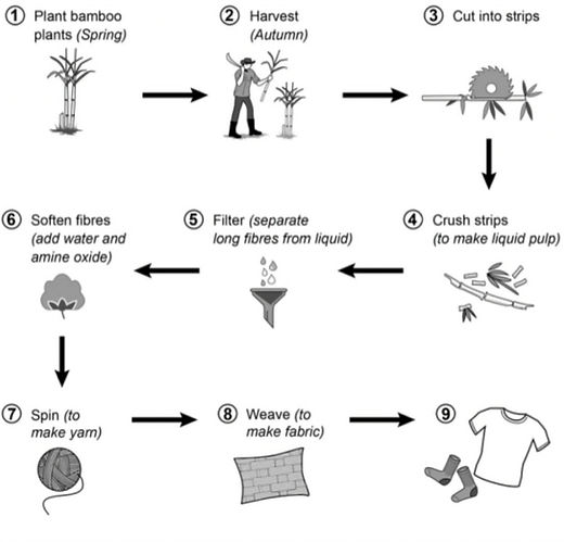 How Bamboo Fabric is Made_edited.jpg