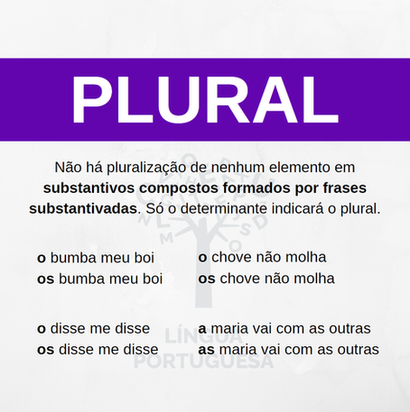 Plural
