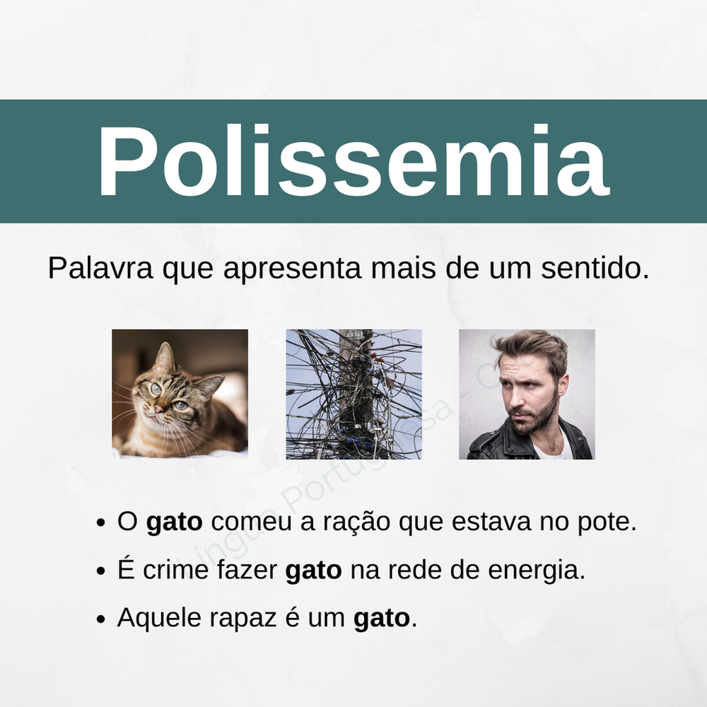 Polissemia