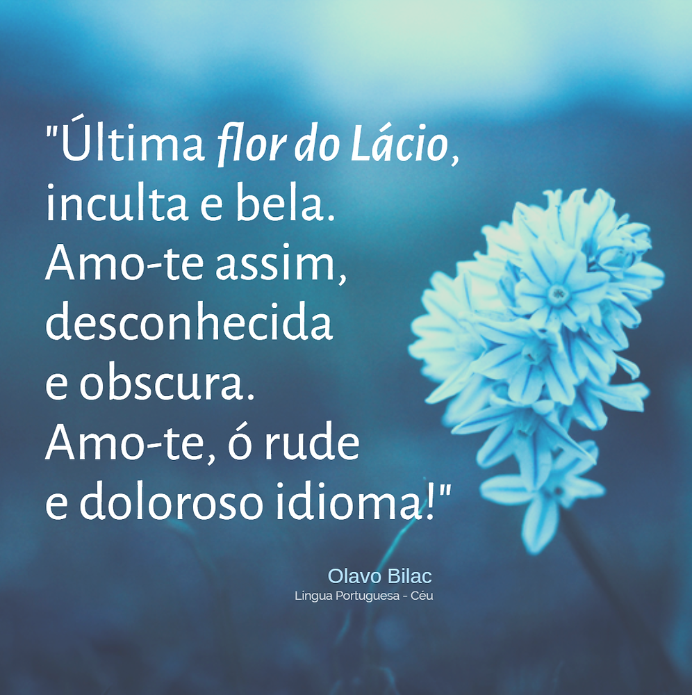 Ultima Flor Do Lacio