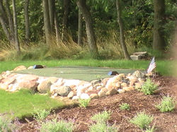 golf green pics4 015.jpg