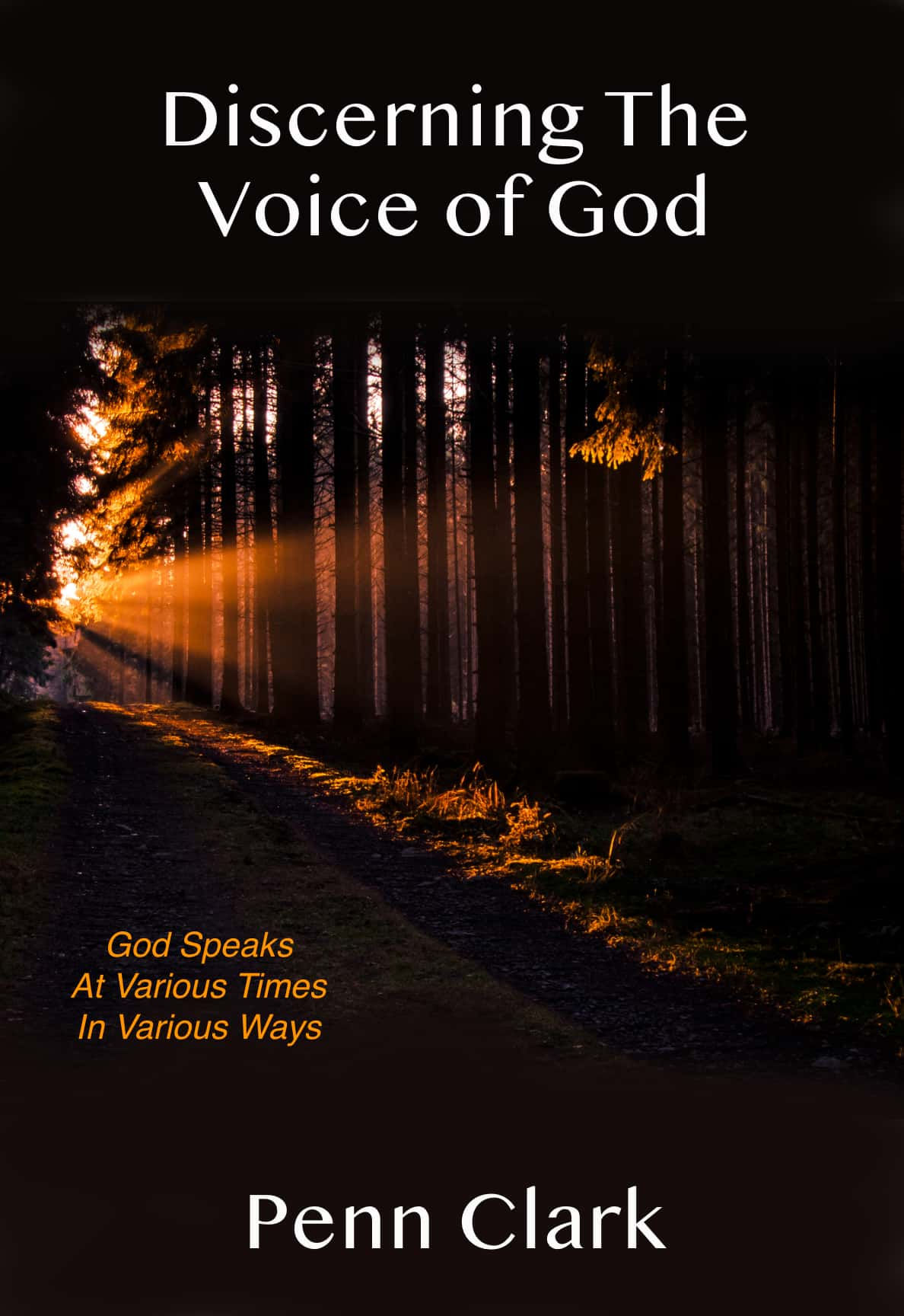 Discerning God's Voice