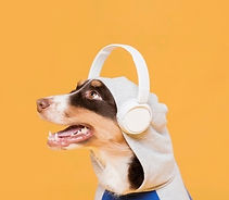 cachorro-fofo-com-fones-de-ouvido_23-214