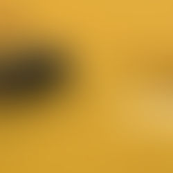 PICTURE - Wir machen Kleider aus Zucker! 🍰