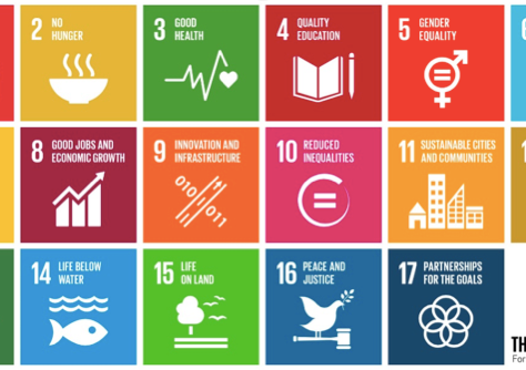 Why we think social enterprise and purpose led businesses are the answer to the World's problems