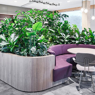 BDO's new office in Breda: city's most sustainable building sets standard for future-proof workspaces