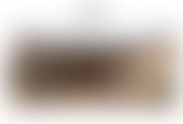 De zorgomgeving als landschap 