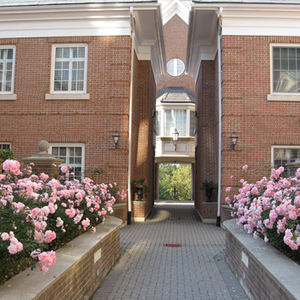 Enchanting Garden Pathways