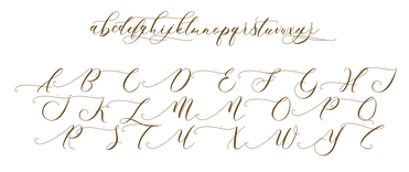 ONTT.png
