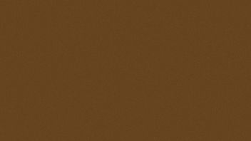 3840x2160-dark-brown-solid-color-background_edited_edited_edited.jpg