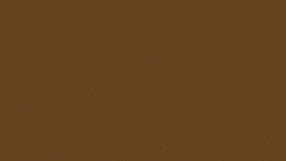 3840x2160-dark-brown-solid-color-background_edited_edited.jpg