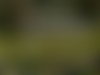 REFRESHING THE WEARY