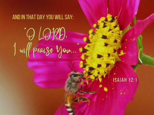 The Response of a Worshipper