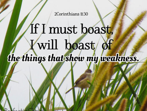 MARKS OF A TRUE MINISTER