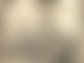 THE CHURCH PORTRAYED